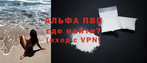 стафф Осташков
