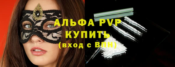 стафф Осташков