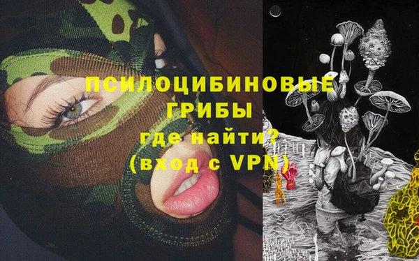 jwh Осинники