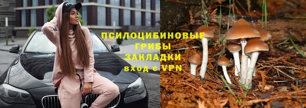кристаллы Няндома