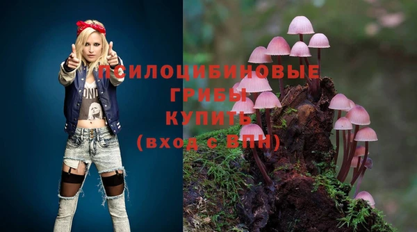 jwh Осинники