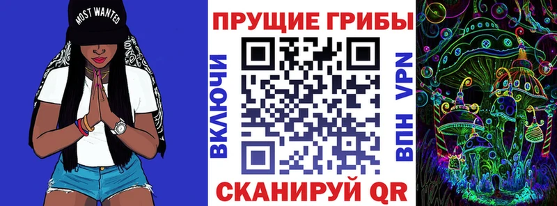 blacksprut ТОР  Белогорск  маркетплейс как зайти  Псилоцибиновые грибы мухоморы 