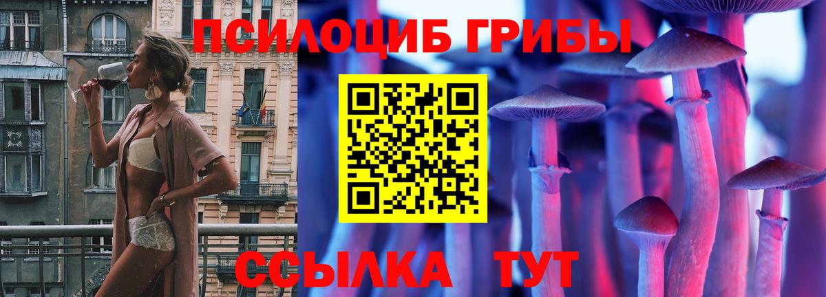 Псилоцибиновые грибы мухоморы  Псилоцибиновые грибы Cubensis  Белогорск 