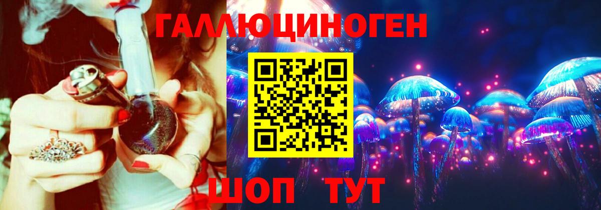 Псилоцибиновые грибы Psilocybine cubensis  Вход с VPN  Белогорск 